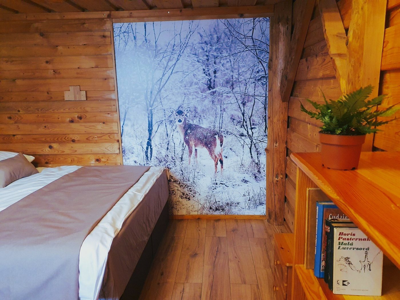 Apartmán pod Lesom
